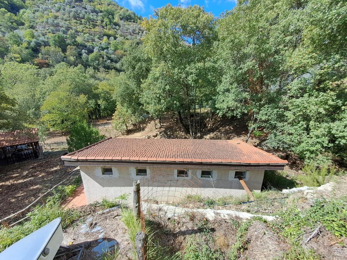 Agricamping Ponteraggio N.1 Hotel Dolceacqua Exterior photo