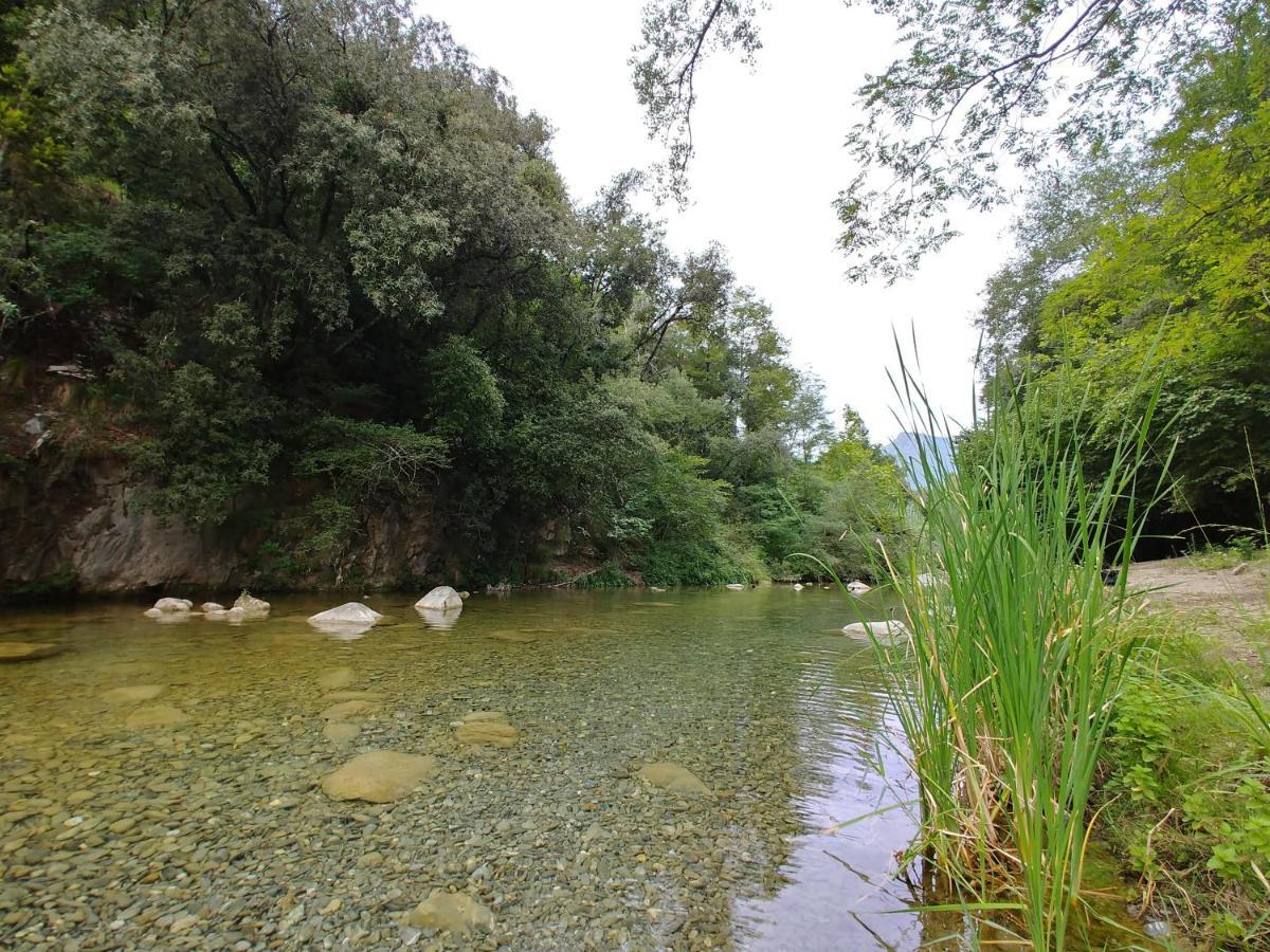Agricamping Ponteraggio N.1 Hotel Dolceacqua Exterior photo