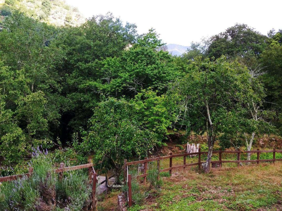 Agricamping Ponteraggio N.1 Hotel Dolceacqua Exterior photo