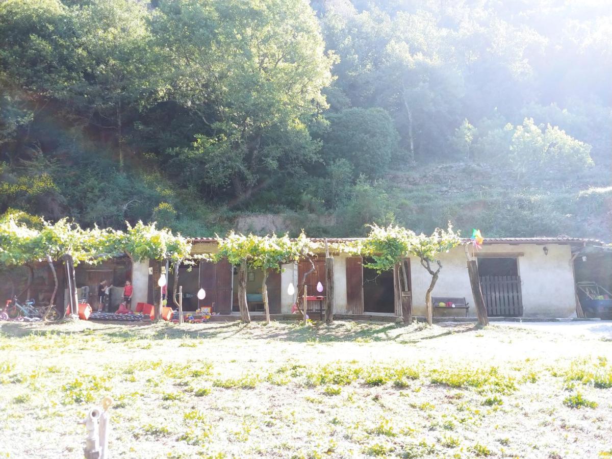 Agricamping Ponteraggio N.1 Hotel Dolceacqua Exterior photo