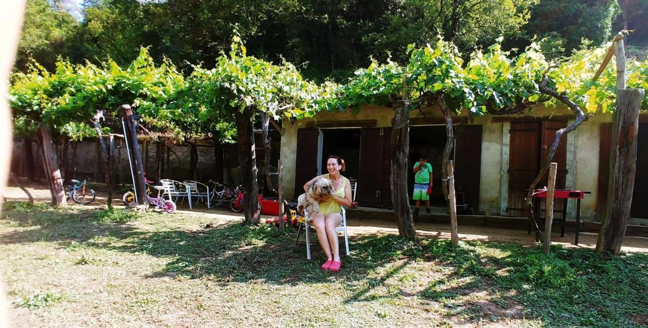 Agricamping Ponteraggio N.1 Hotel Dolceacqua Exterior photo