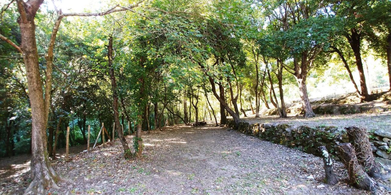 Agricamping Ponteraggio N.1 Hotel Dolceacqua Exterior photo