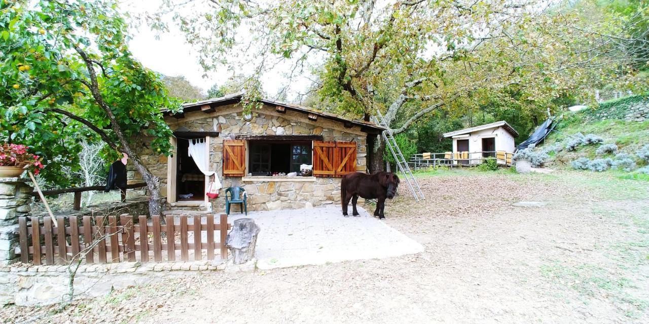 Agricamping Ponteraggio N.1 Hotel Dolceacqua Exterior photo