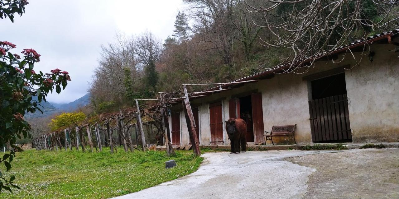Agricamping Ponteraggio N.1 Hotel Dolceacqua Exterior photo